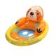 boia-animais_PREGUIC_120320_6942138967845_01