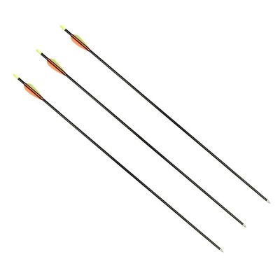 conjunto-de-flechas-para-arco_000_411580_7896558430177_01 conjunto-de-flechas-para-arco_000_411580_7896558430177_01