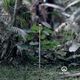 post-produto-bastao-de-caminhada-da-Azteq-Actos---30-10-2024-Photoroom.jpg